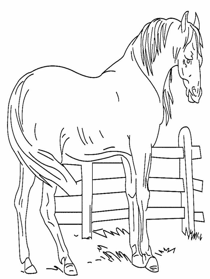 Horse 55 Cool Coloring Page