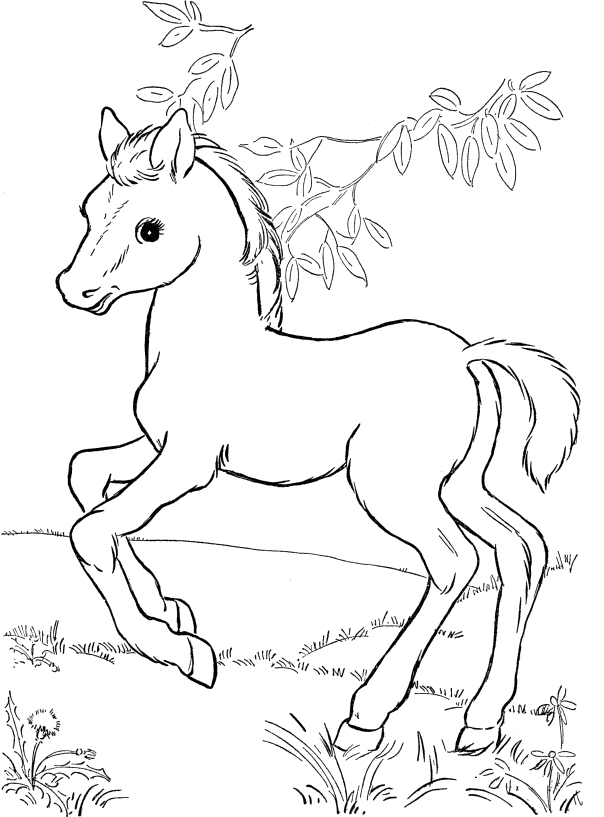 Horse 57 For Kids Coloring Page