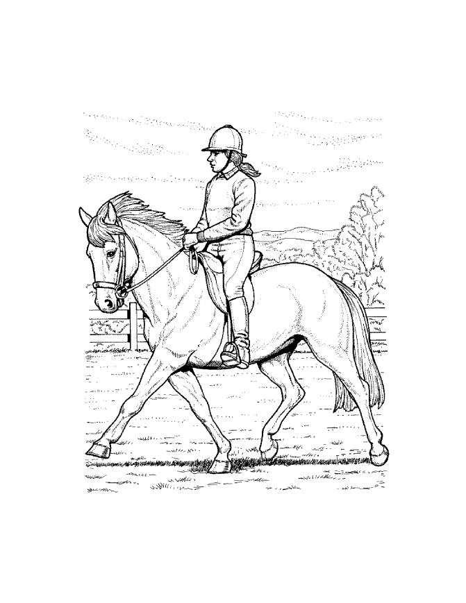Horse 7 For Kids Coloring Page