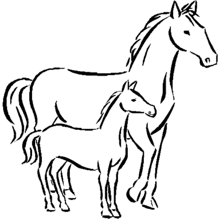 Cool Horse 9 Coloring Page