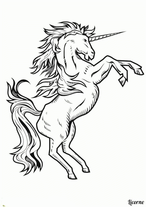 Licorne Coloring For Free Time For Kids
