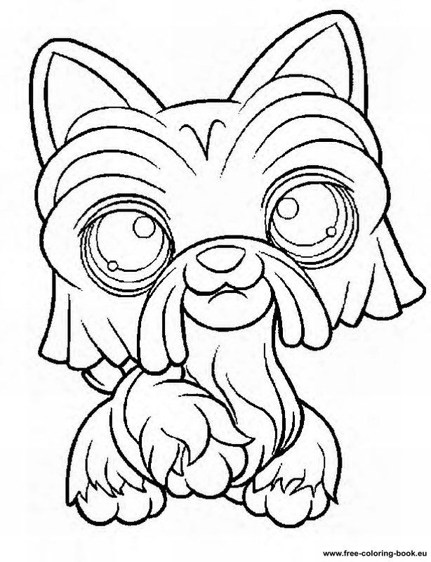 Littlest Pet Shop 42 Cool Coloring Page