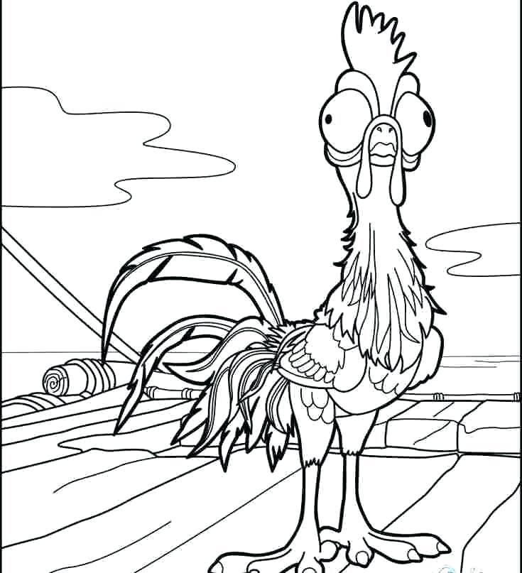 Moana With Rooster Coloring Page
