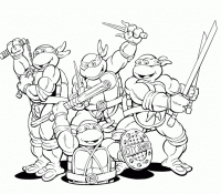 Ninja Turtle 8 For Kids