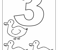 Number Coloring Page 43 Cool