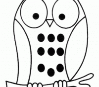Cool Owl 13