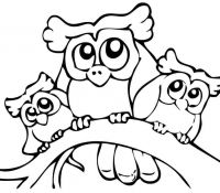 Owl 15 For Kids
