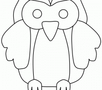 Owl 16 Cool