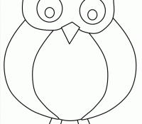 Cool Owl 17