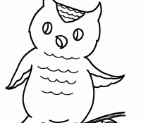 Owl 19 For Kids