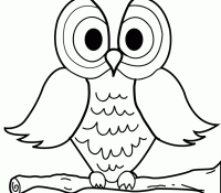 Owl 2 Cool