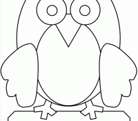 Owl 24 Cool