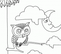 Cool Owl 25