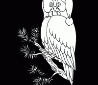 Owl 26 Cool