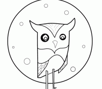 Owl 28 Cool