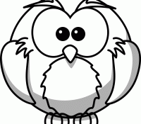Owl 32 Cool