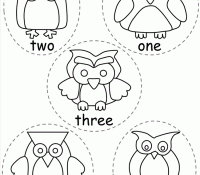 Owl 37 Cool