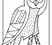 Owl 41 Cool