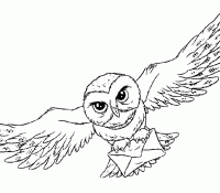 Owl 42 For Kids