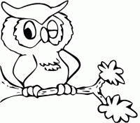 Owl 7 For Kids