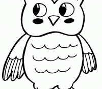 Owl 8 Cool