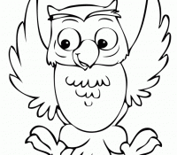 Cool Owl 9