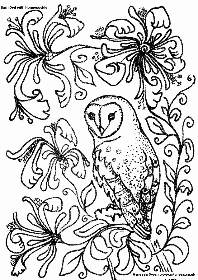 Cool Owl 1 Coloring Page