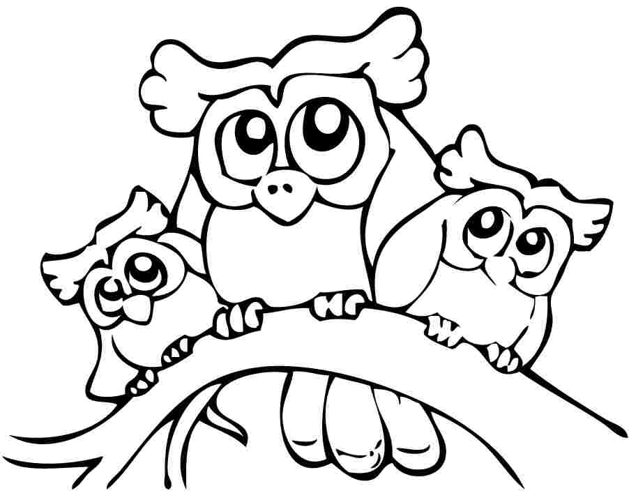 Owl 15 For Kids Coloring Page
