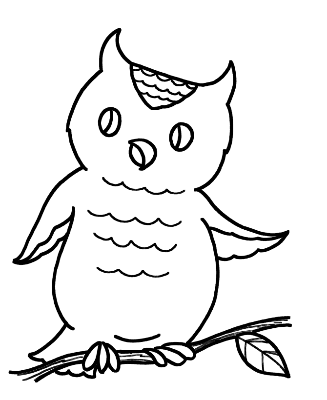 Owl 19 For Kids Coloring Page