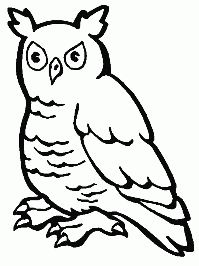 Owl 22 Cool Coloring Page