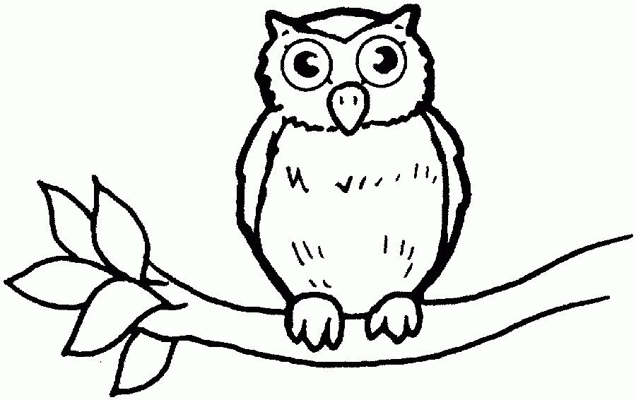 Owl 23 For Kids Coloring Page