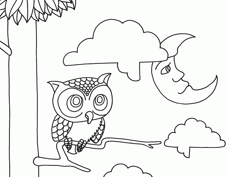 Cool Owl 25 Coloring Page