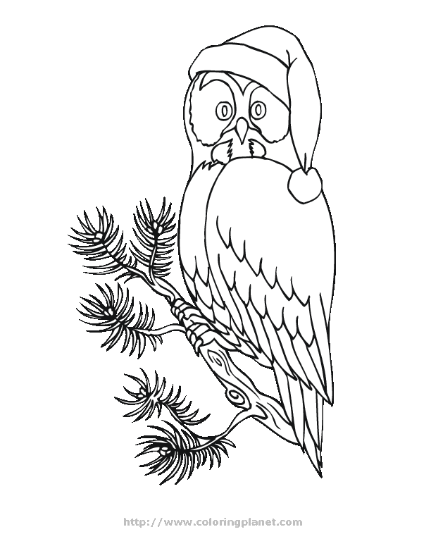 Owl 26 Cool Coloring Page