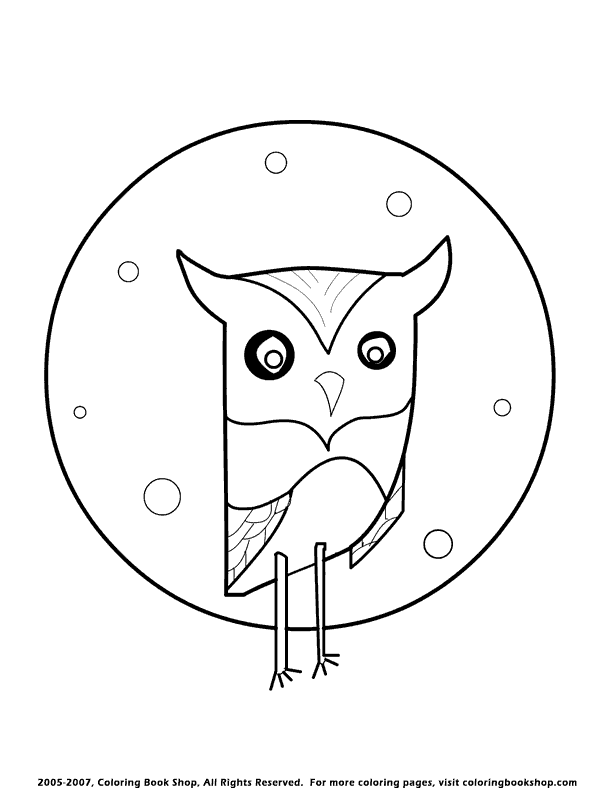 Owl 28 Cool