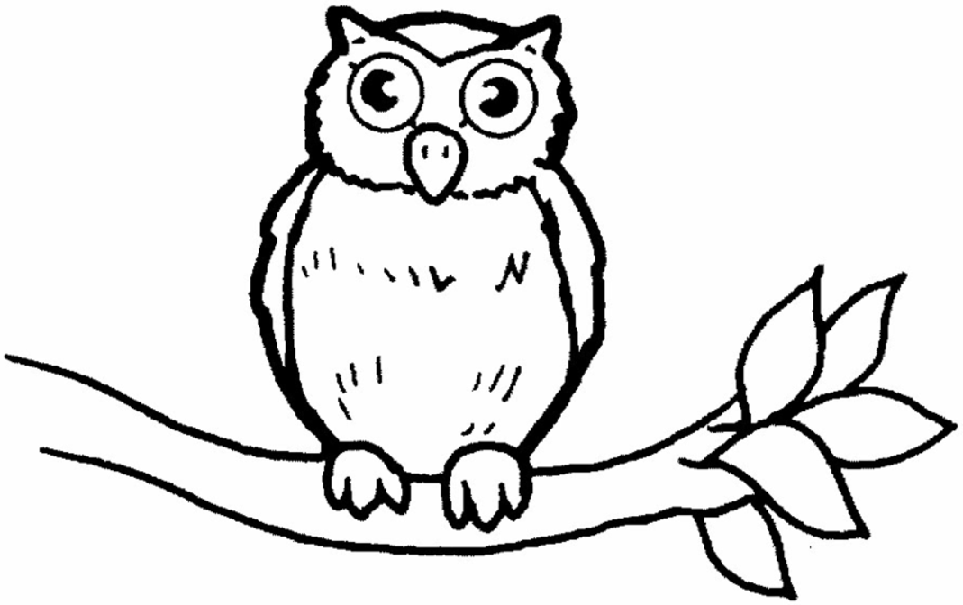 Owl 3 For Kids Coloring Page