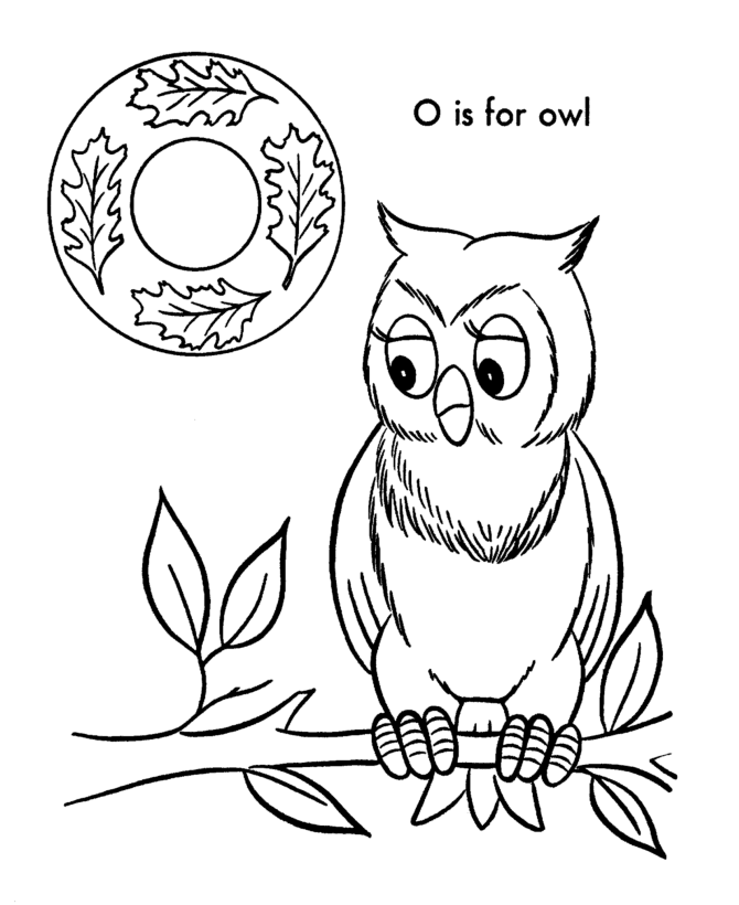 Owl 30 Cool
