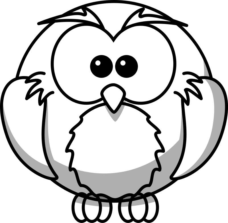 Owl 32