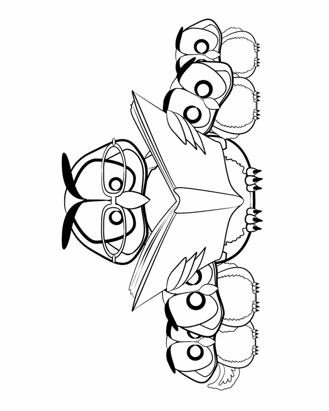 Cool Owl 33 Coloring Page