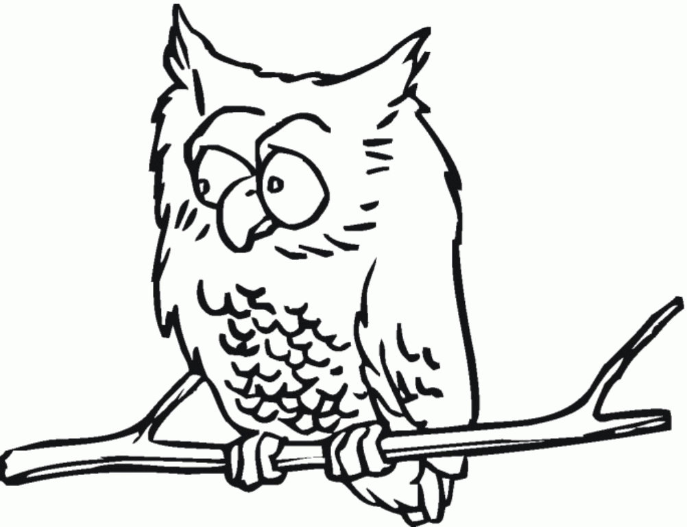 Owl 39