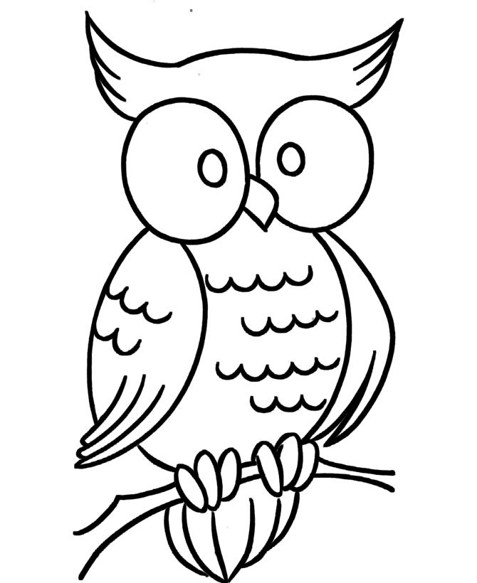 Owl 4 Cool Coloring Page