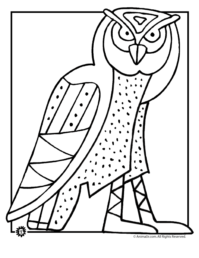 Owl 41