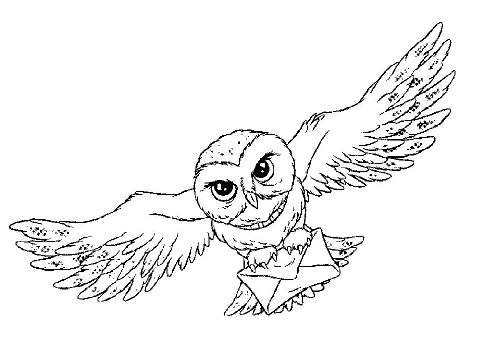 Owl 42
