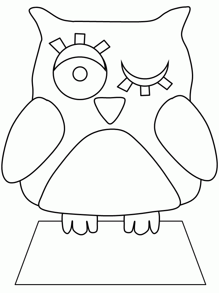 Owl 45