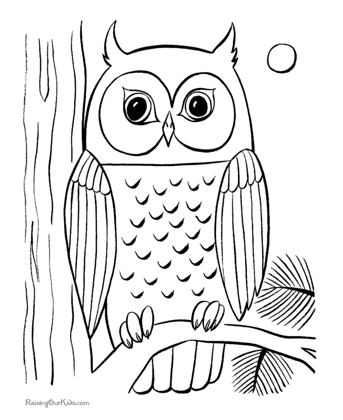 Owls Coloring Pages - Coloring Cool