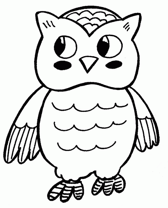Owl 8 Cool Coloring Page