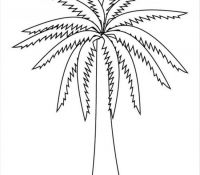 Cool Palm Tree 12