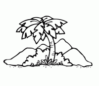 Cool Palm Tree 16