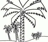 Cool Palm Tree 20