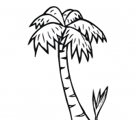 Palm Tree 5 Cool