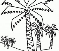 Cool Palm Tree 8